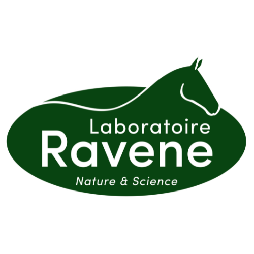 Ravène