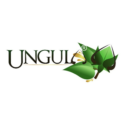 Ungula 