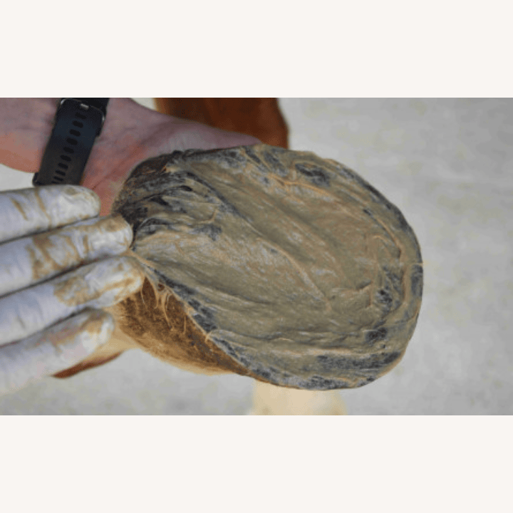Nutragile - Magic Pieds - 2 contenances