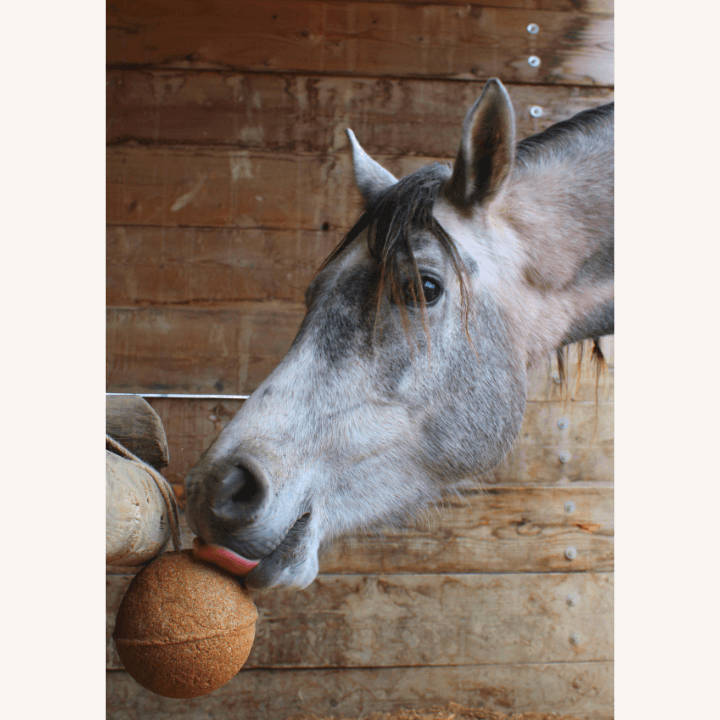 Unika Ball Endurance - Complément Alimentaire