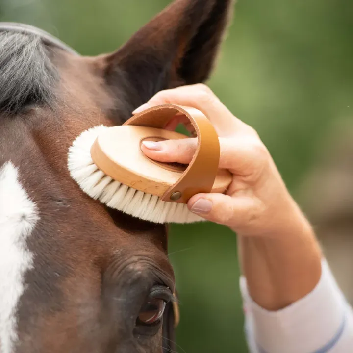 brosse douce