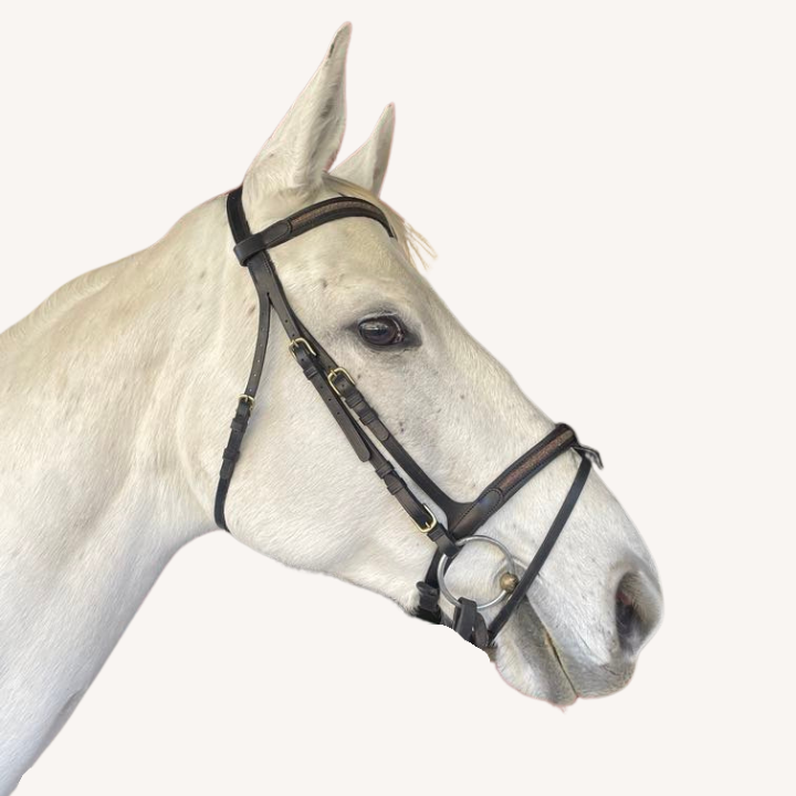 Cavaletti - Bridon Goldy - Noir