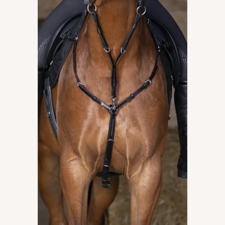 Eric Thomas - Collier de Chasse Hybrid (2)