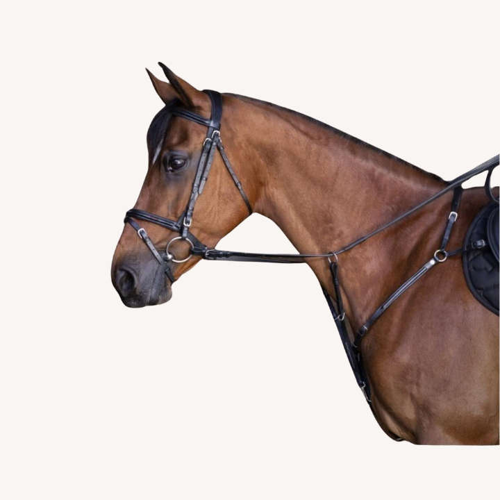 Eric Thomas - Collier de Chasse Hybrid