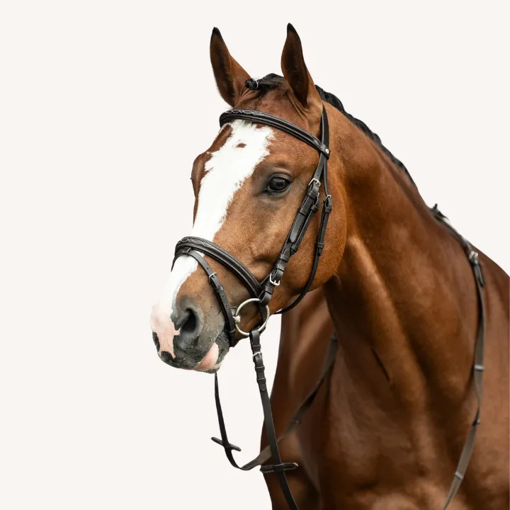 Hkm - Bridon Jana - Marron