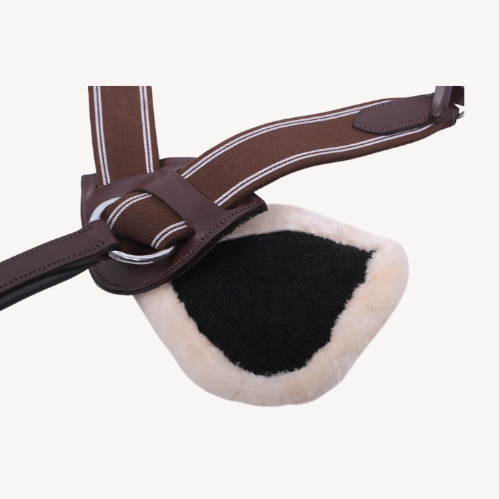 Qhp - Collier de Chasse 5 points Ontario – Image 2