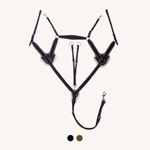 Qhp - Collier de Chasse 5 points Ontario noir