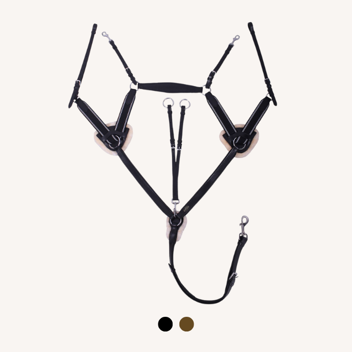 Qhp - Collier de Chasse 5 points Ontario noir