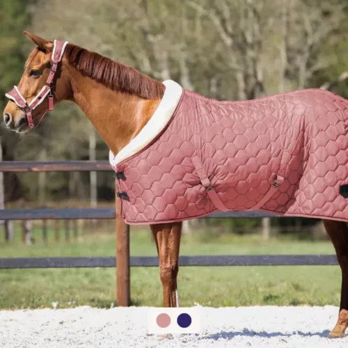 Qhp - Couverture écurie classy