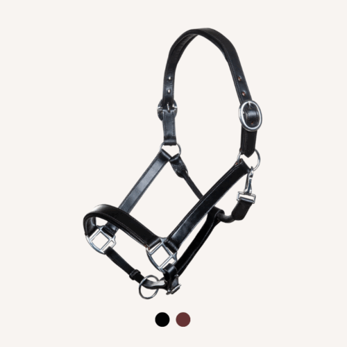 Hkm - Licol Cuir Economic - Deux Coloris