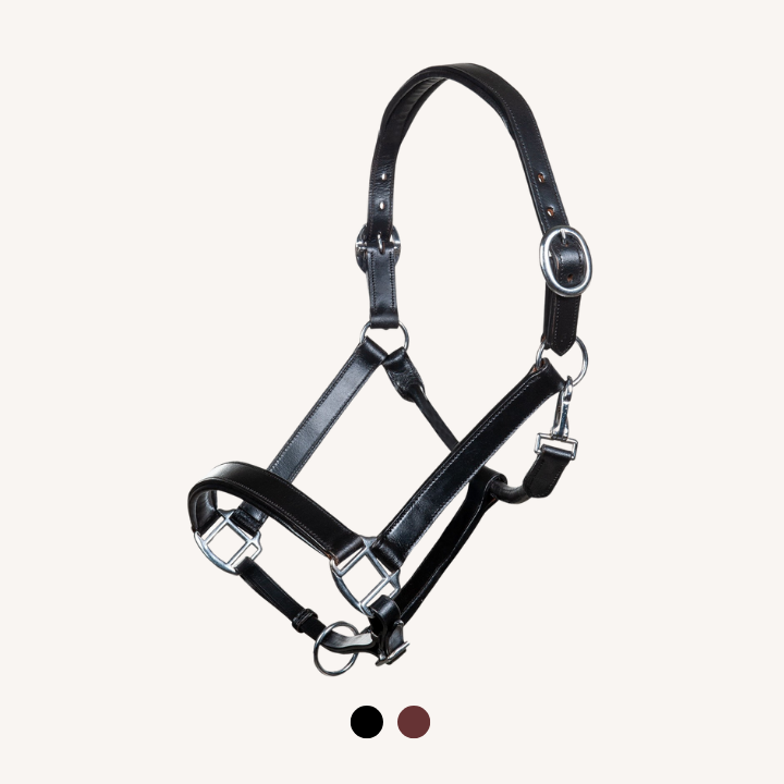 Hkm - Licol Cuir Economic - Deux Coloris