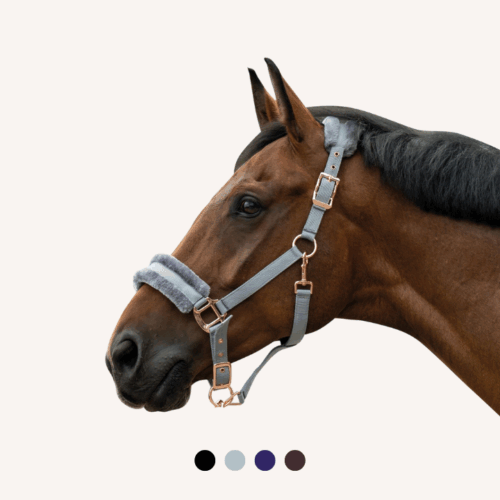 Hkm - Licol Rosegold Glamour - Mouton Synthétique