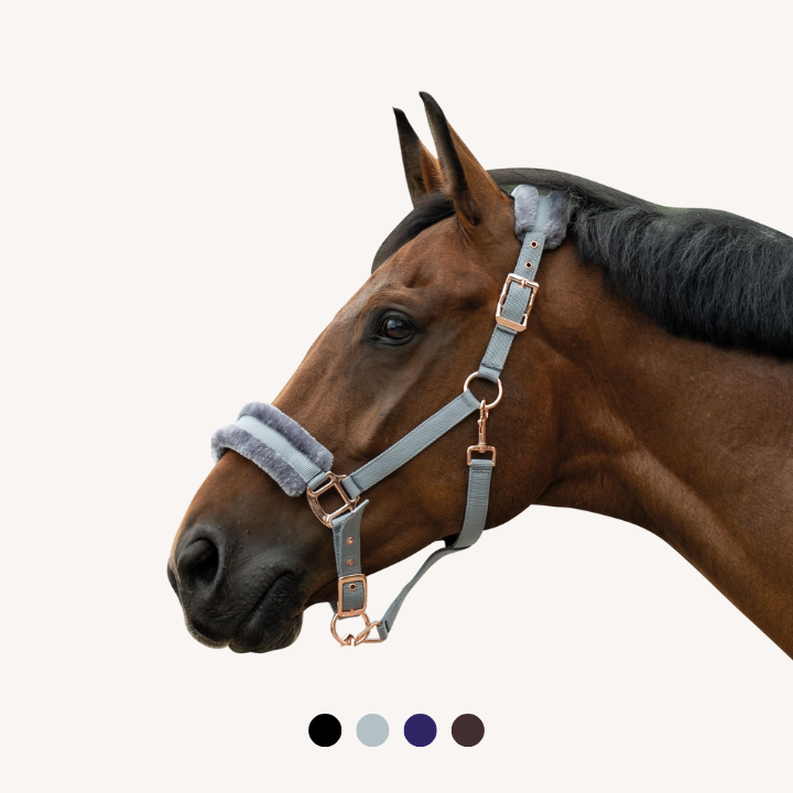 Hkm - Licol Rosegold Glamour - Mouton Synthétique