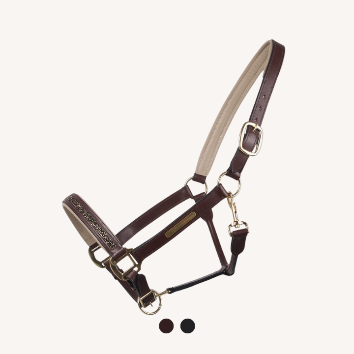 Qhp - Licol Cuir Lupine
