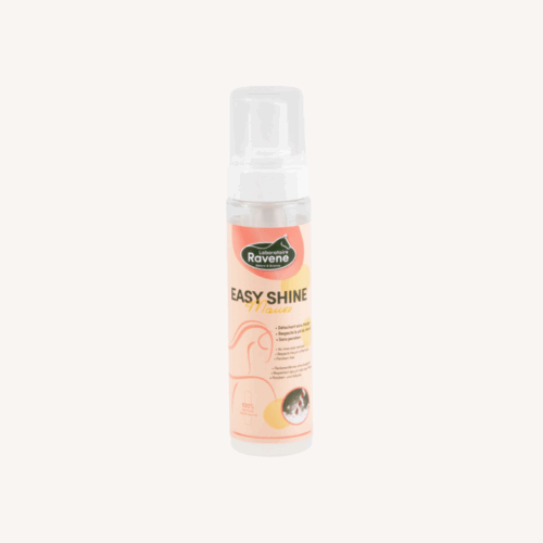 Ravene - Easy Shine Mouss - Détachant - 200 ml