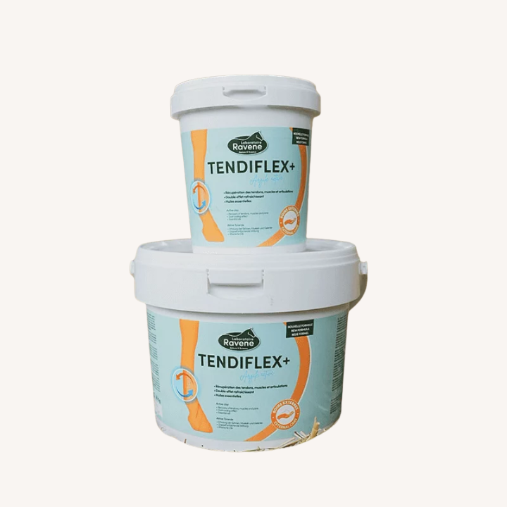 Ravene - Tendiflex + - Argile - 2 contenances