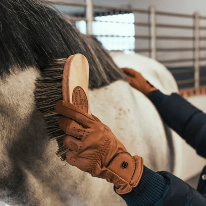 Borstiq - Brosse Banane Polypropylène - gm
