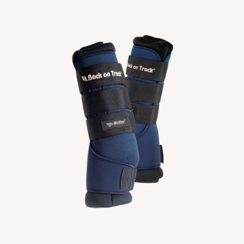 Back on Track - Stable Boots Royal bleues - 2 protections