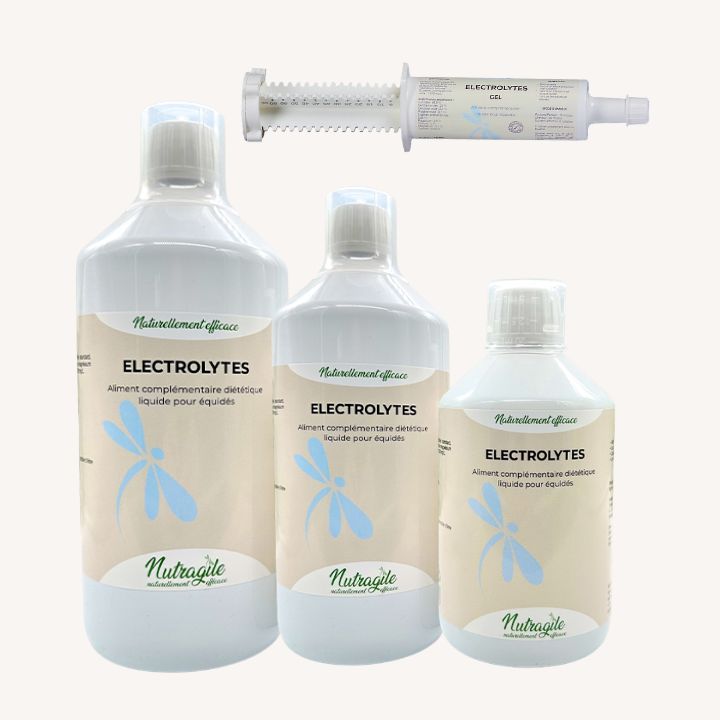Nutragile - Électrolytes Liquide - 4 contenances
