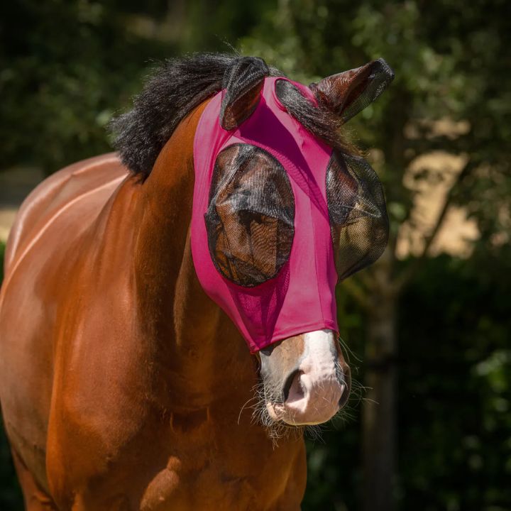 Qhp - Bonnet anti mouche lycra Super Bug - Lycra - Rose Fuchsia